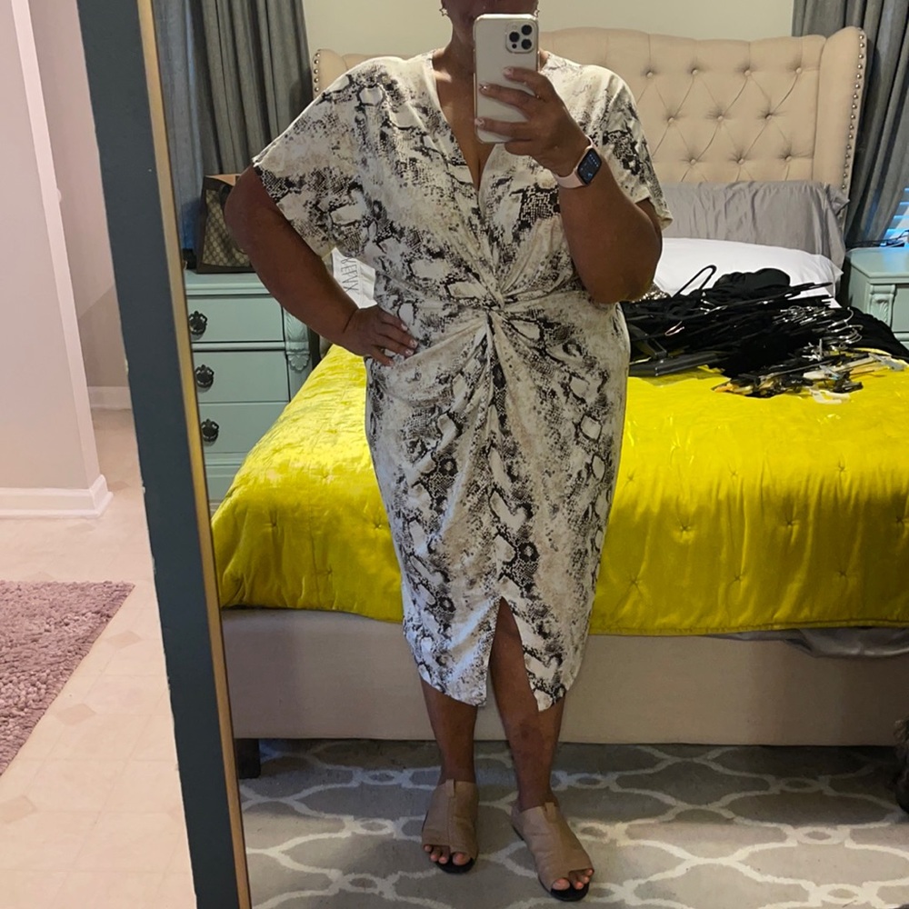 Snake print dress Fashion Nova size 3x